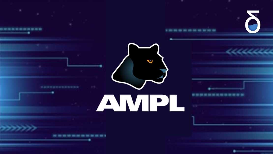 ¿Conoce AMPL? 